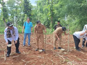 Wamentan Sebut Kementan Fokus Genjot Produksi Jagung dan Beras Tahun Ini