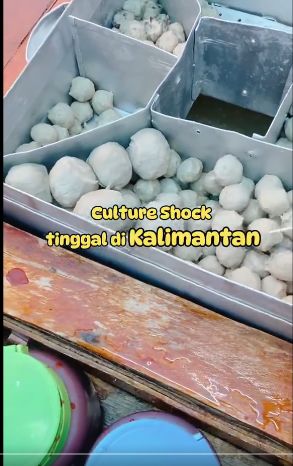 Kebiasaan Makan Potol Pedati di Kalimantan Disebut Kotor, Seperti Apa?