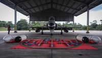 Skadron Udara 12 Black Panthers memiliki kekuatan alutsista pesawat tempur tipe Hawk 100/200 yang digunakan untuk latihan dan operasional menjaga pertahanan udara dari segala ancaman.  