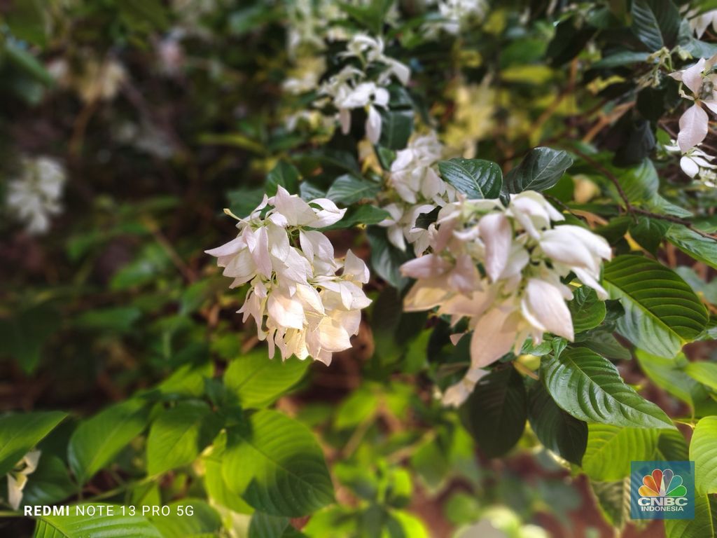 Redmi Note 12 Pro 5G Redmi Note 12 Pro 5G
