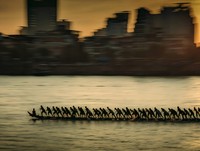 Sony World Photography 2024