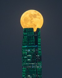 Sony World Photography 2024