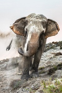 Sony World Photography 2024