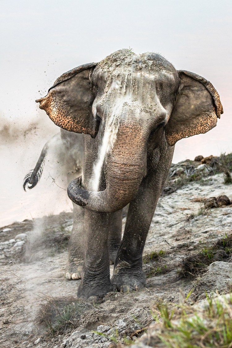 Sony World Photography 2024