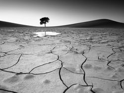 Jawara Sony World Photography 2024, Ada Fotografer Indonesia