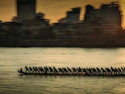 Jawara Sony World Photography 2024, Ada Fotografer Indonesia
