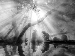Jawara Sony World Photography 2024, Ada Fotografer Indonesia