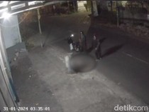 Polisi Tangkap 2 Pria Penganiaya Anjing hingga Tewas di Mataram