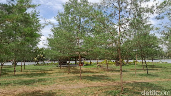 Tanjung Cemara Pangandaran.