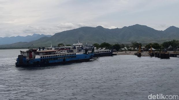 Antrean kendaraan di Pelabuhan Ketapang, Jawa Timur, menuju Pelabuhan Gilimanuk, Bali, Kamis (8/2/2024).