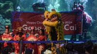 Atraksi barongsai tersebut digelar untuk menyambut Tahun Baru Imlek 2575 Kongzili yang jatuh pada 10 Februari 2024. 