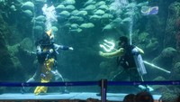 Sea World Ancol menjadi salah satu tempat wisata favorit warga untuk menghabiskan libur panjang.