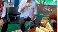 Saat meninjau Bandara Tanjung Balai Karimun, Kepulauan Riau, Budi juga mampir untuk menikmati durian. Ia tampak menikmati durian duri hitam yang daging buahnya legit dan kuning keemasan. Foto: Instagram @budikaryas