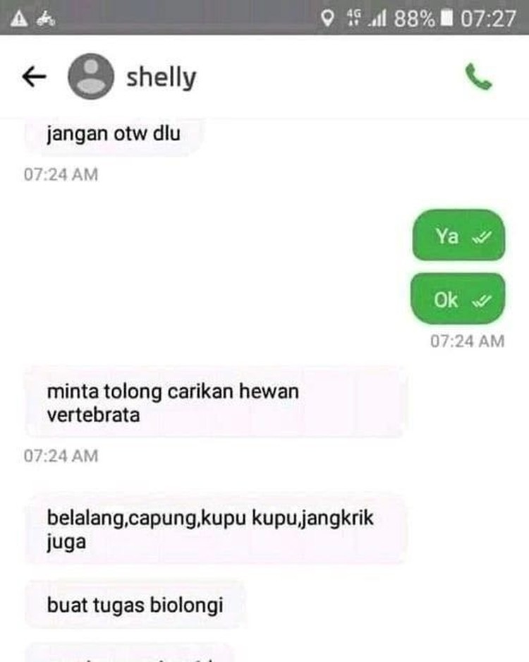 Chat Kocak Ojol dan Penumpang