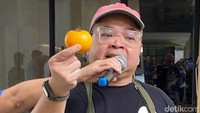Chef Ragil turut hadir memperkenalkan bahan makanan istimewa khas Kalimantan. Namanya terong asam yang bentuknya bulat seperti tomat, tapi berwarna kuning.