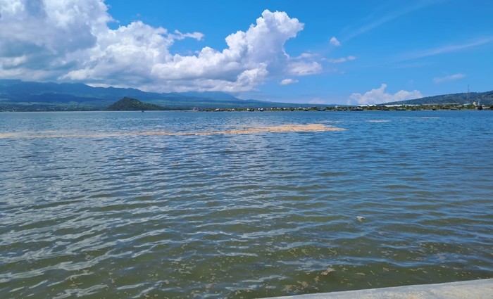 Gumpalan buih di Teluk Bima, NTB. (Istimewa)