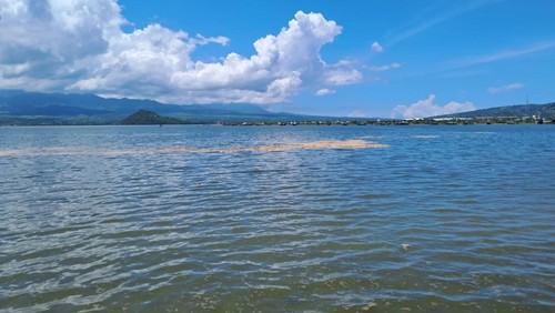 Gumpalan buih di Teluk Bima, NTB. (Istimewa)