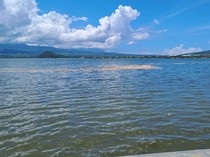 Gumpalan Buih Muncul di Perairan Teluk Bima