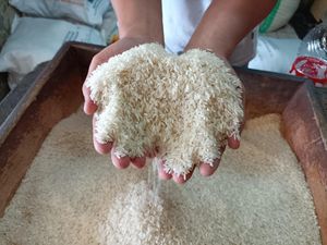 Alasan Pemkab Bantul Belum Operasi Pasar Meski Harga Beras Naik: Stok Kosong