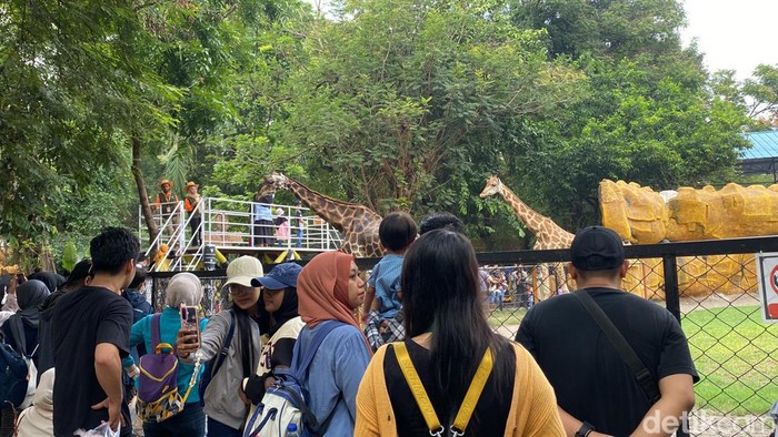 KBS mulai diserbu pengunjung pada hari pertama long weekend, Kamis (8/2/2024).