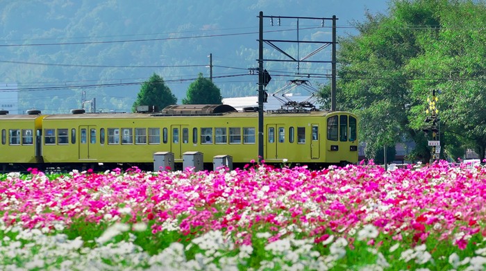 Kereta sake Ohmi Railway di Jepang