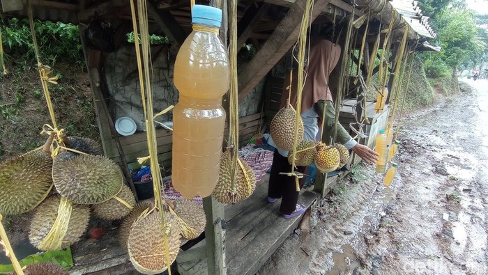 Lahang,minuman legendaris masyarakat Sunda