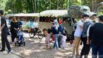 Libur Panjang, TM Ragunan Ramai Pengunjung