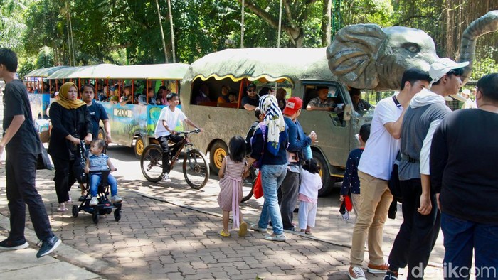 Libur Panjang, TM Ragunan Ramai Pengunjung 1. Sejumlah warga berkunjung ke Taman Margasatwa Ragunan, Jakarta, Kamis (8/2/2024).
