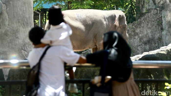 Ribuan Pengunjung Padati Ragunan, Enam Anak Terpisah dari Orangtua dalam Kerumunan