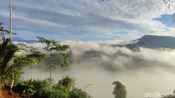 Menyelami Keindahan Negeri di Atas Awan Puncak Bangku Ciamis