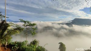 Menyelami Keindahan Negeri di Atas Awan Puncak Bangku Ciamis