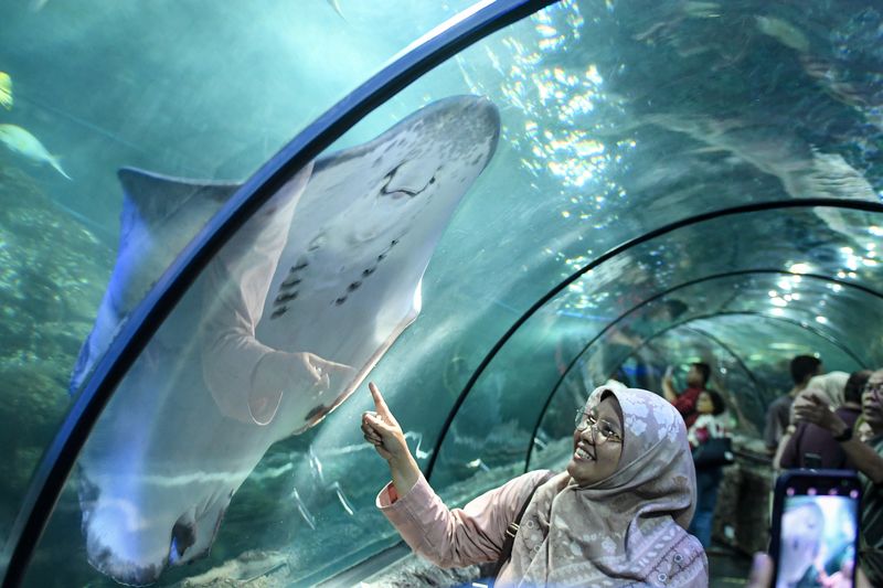 Wisatawan mengamati ikan di Sea World Ancol, Jakarta, Jakarta, Kamis (8/2/2024). Libur panjang dimanfaatkan warga Jakarta dan sekitarnya untuk mengunjungi tempat-tempat rekreasi di Ibu Kota. ANTARA FOTO/Muhammad Adimaja/tom.