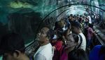 Serunya Menghabiskan Libur Panjang di Sea World Ancol