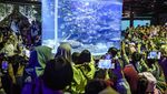 Serunya Menghabiskan Libur Panjang di Sea World Ancol