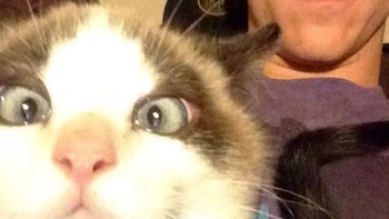 Ekspresi kaget kompak sama majikan. Foto: Boredpanda