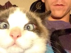 Aksi Gemas Para Hewan Narsis Depan Kamera