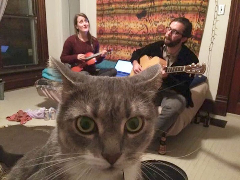 Aksi Hewan Selfie Narsis, Bikin Gemas