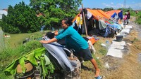 Sejumlah warga mengungsi di tanggul sungai di Karanganyar, Demak, Jawa Tengah, Jumat (9/2/2024).