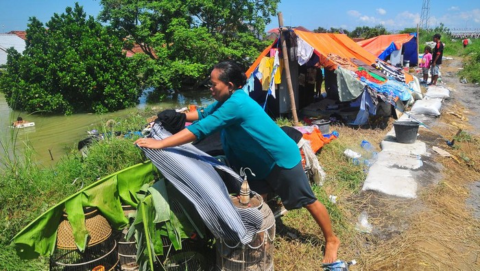 Banjir Belum Surut, Warga Demak Ngungsi di Tanggul Sungai Warga beristirahat di dalam tenda darurat di tanggul sungai saat mengungsi dari banjir di Karanganyar, Demak, Jawa Tengah, Jumat (9/2/2024). Pemerintah setempat hingga relawan telah menyiapkan transportasi untuk evakuasi serta posko pengungsian, namun warga memilih mengungsi di tanggul Sungai Wulan yang dekat dengan rumah mereka. ANTARA FOTO/Yusuf Nugroho/tom.