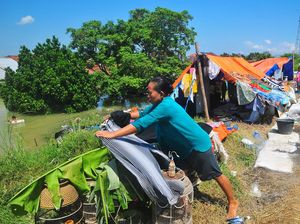 Banjir Belum Surut, Warga Demak Ngungsi di Tanggul Sungai