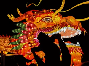 Gong Xi Fa Cai, Rezeki Berlimpah di Tahun Naga Kayu