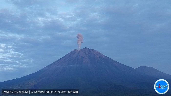gunung semeru erupsi teramati ± 1.000 m di atas puncak pukul 05.39 WIB, Jumat (9/2/2024)