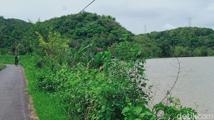 Lahan pertanian di Desa Kragilan, Kecamatan Gantiwarno, Klaten terendam pekan lalu.