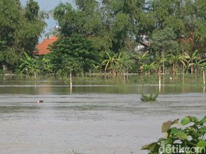 Petani Tambak Lamongan Merugi Usai Diterjang Banjir