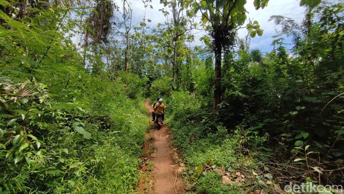 Akses jalan menuju Kampung 8 Ciamis.
