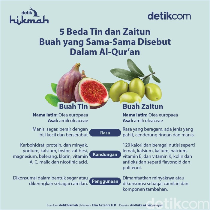 buah tin dan zaitun