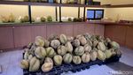 Yummy! Di Kafe Ini Bisa  Makan Durian AYCE Rp 150 Ribu!
