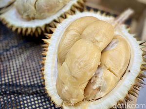 Tempat Jajan Durian Premium hingga Makanan Pemicu Tikus Datang ke Dapur