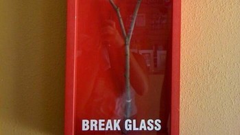 Pecahkan saat terjadi kebakaran... Foto: Boredpanda