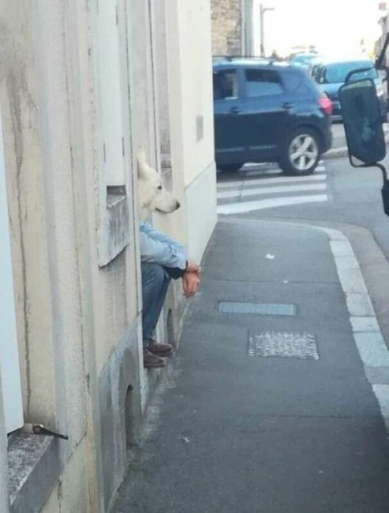 Foto kocak diambil momen yang pas